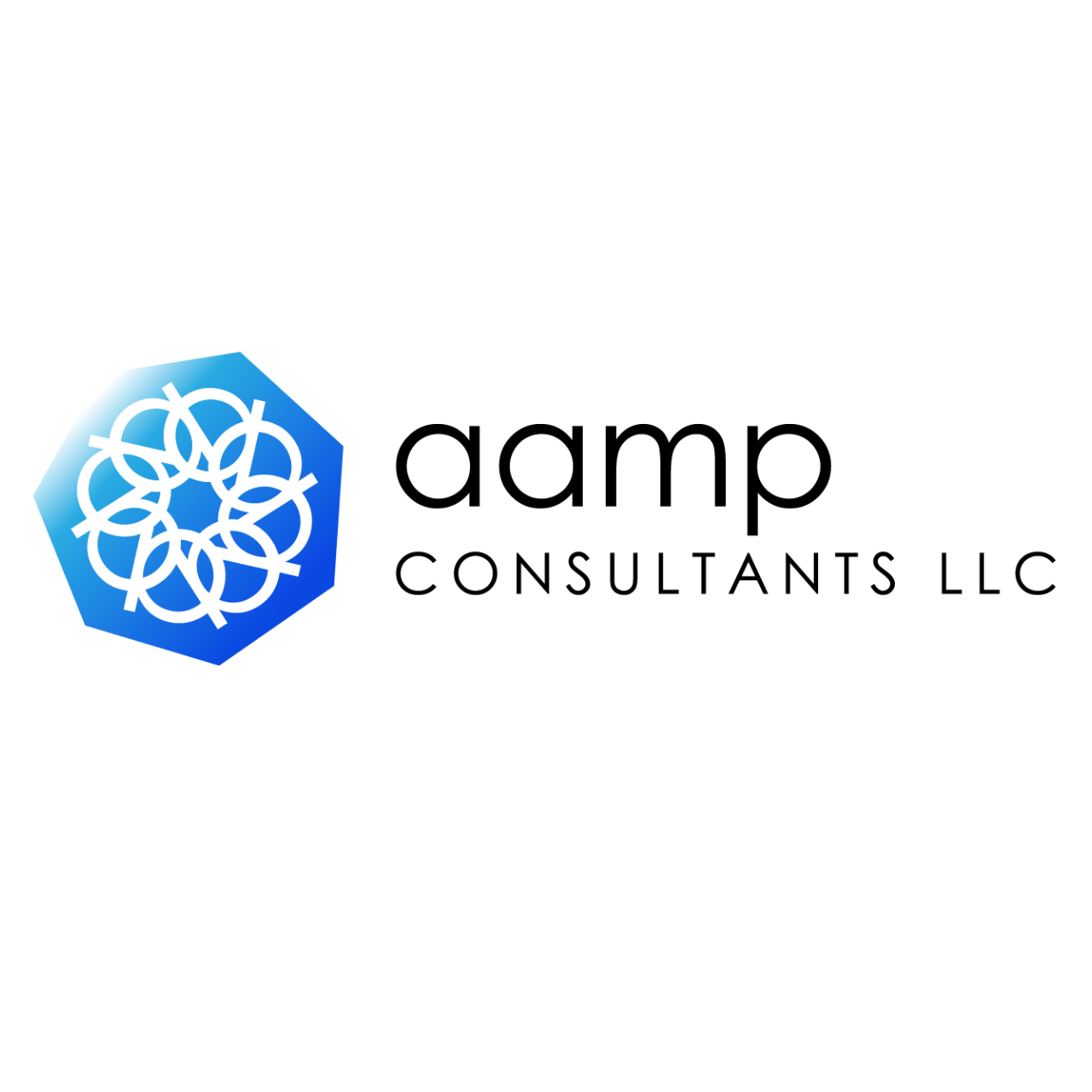 AAMP Consultants