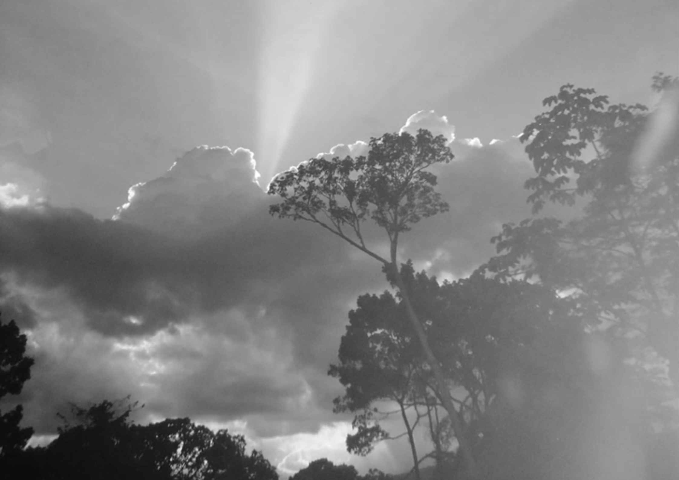 Una luz de esperanza